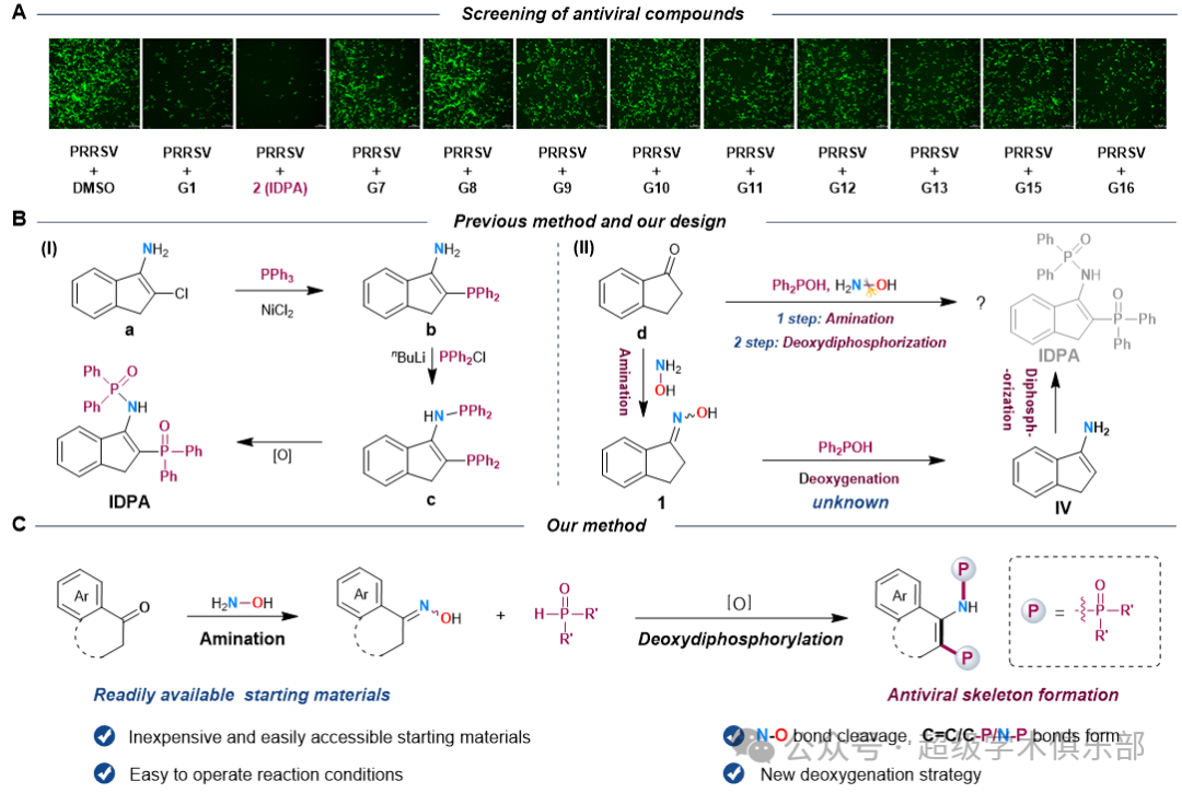 Targeted Synthesis and Development of Neotype Antiviral Agents with a Radical-Mediated Deoxyphosphoamination Strategy