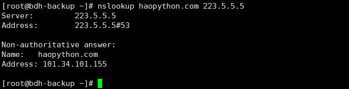 Installation and Usage of dig and nslookup Tools in Linux Systems
