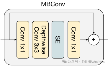 MaxViT: Multi-Axis Vision Transformer