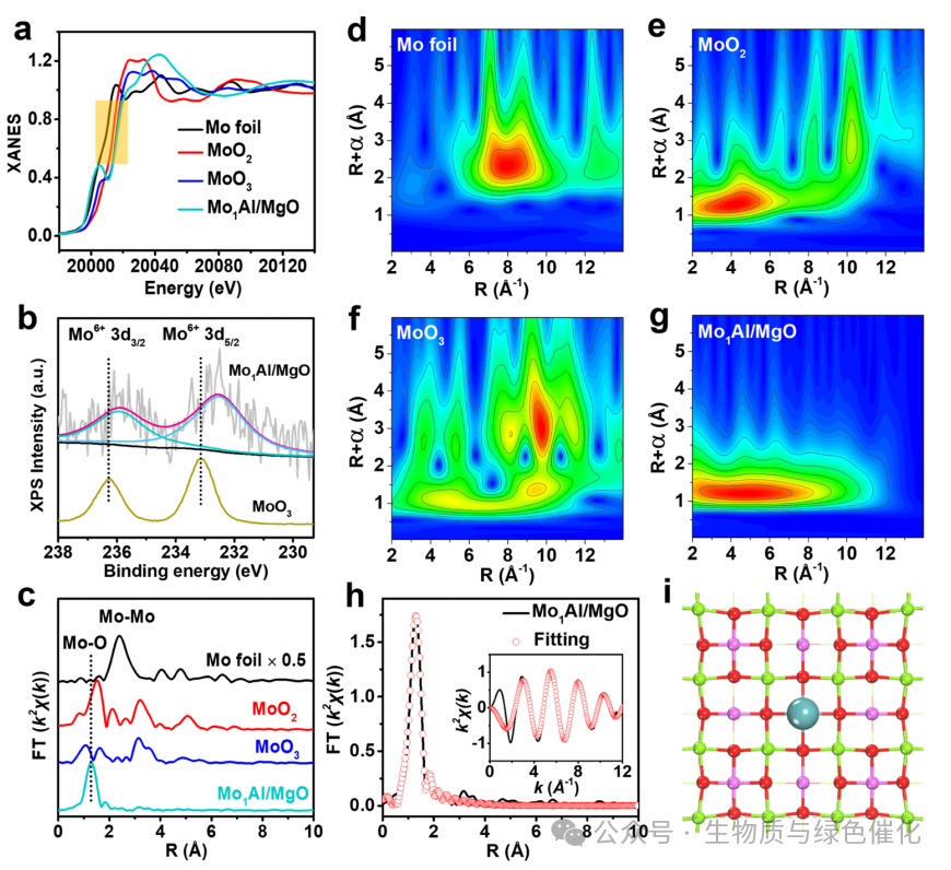 Synergy of Single Atoms and Lewis Acid Sites for Efficient and Selective Lignin Disassembly into Monolignol Derivatives