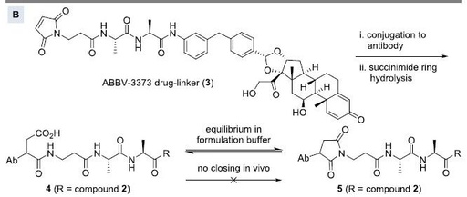 Challenges and Strategies in the Synthesis of ADC Drug Conjugates: A Comprehensive Analysis of ABBV-154 Process Development