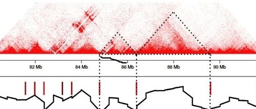 Complete Analysis Pipeline for Hi-C 3D Genome