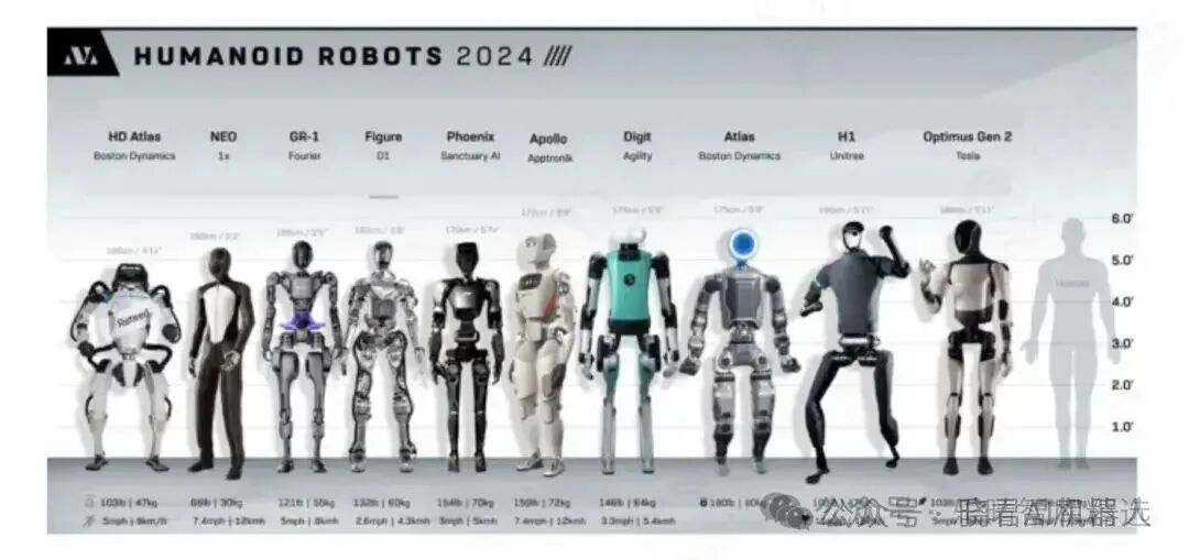 Comprehensive Overview of the Humanoid Robot Industry Chain