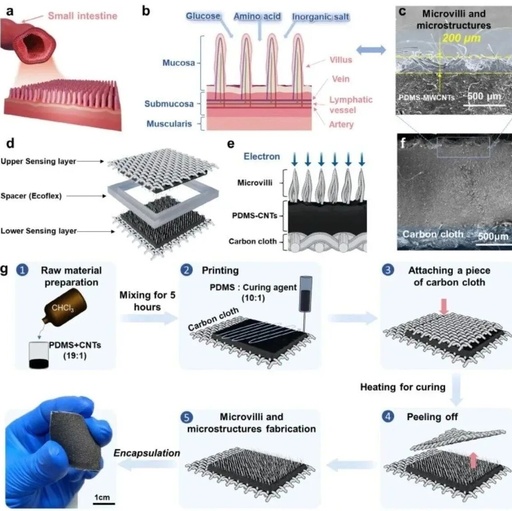 MEMS Pressure Sensors (Part II): Market Landscape, Technological Breakthroughs, and Future Trends