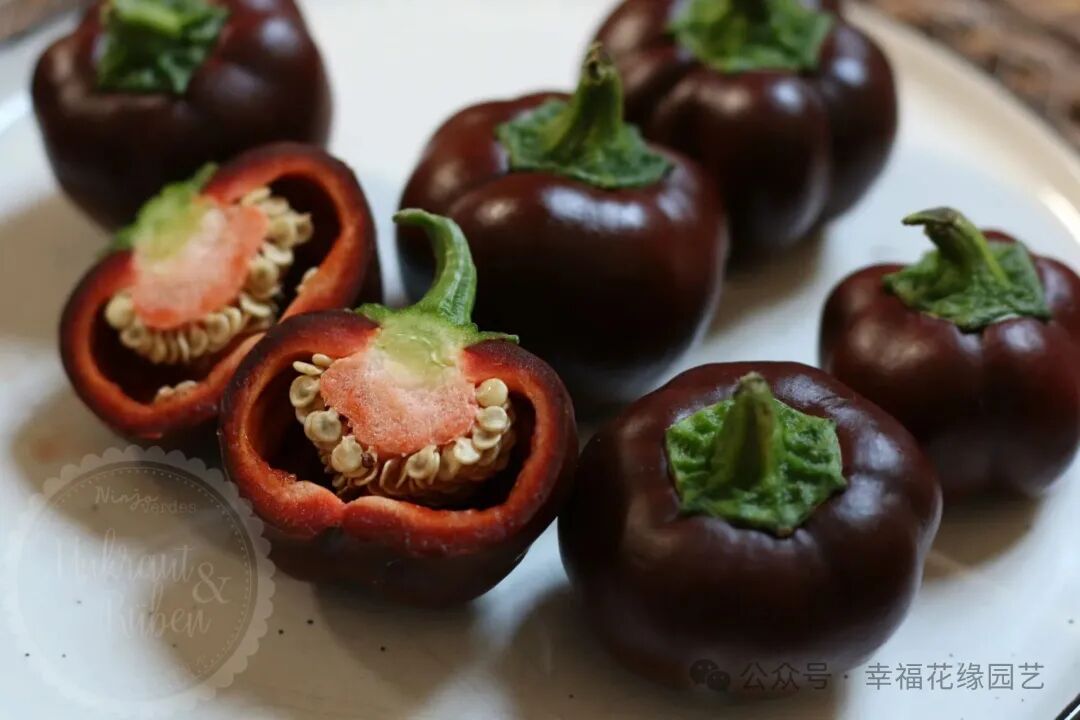 Mini Sweet Peppers: The 'King of Vitamin C' on the Dining Table, Combining Nutrition and Flavor