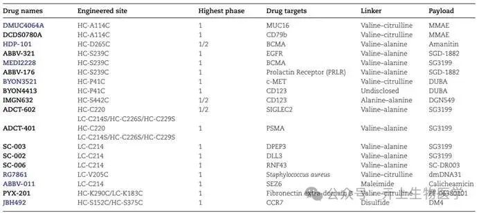 Overview of ADC Conjugation Technology