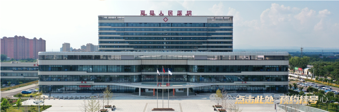 Xia County Aimi Optoelectronics: First Batch of 36,000 LCD Display Assemblies Exported Overseas