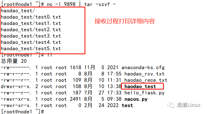 The Power of the nc Command in Linux!