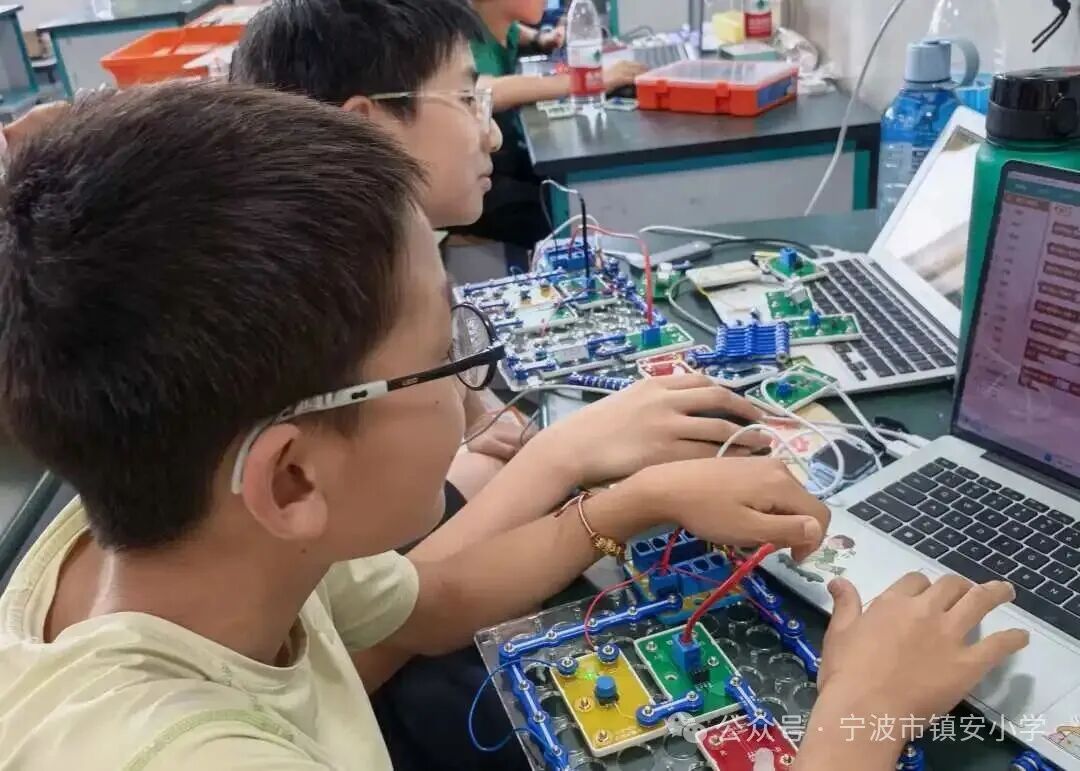 The Shining Stars on the Circuit Board