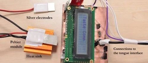 Exploration of Odor Sensor Technology: Scientific and Practical Perspectives