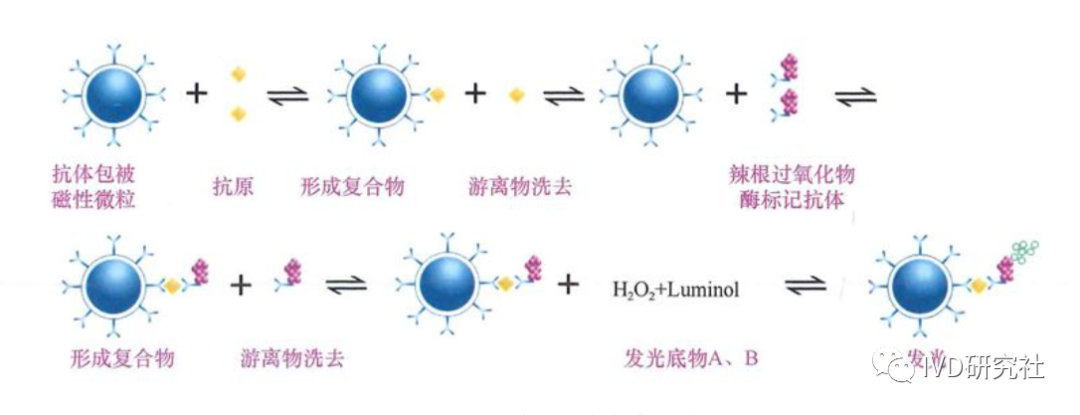Overview of Chemiluminescent Immunoassay Analyzers