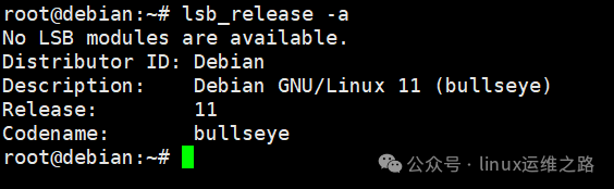 Comprehensive Guide to Querying Linux System Version Information: Easy for Beginners