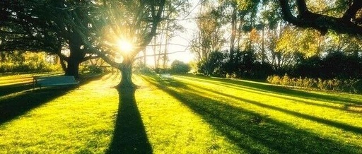 Understanding C Language: Recursive Functions