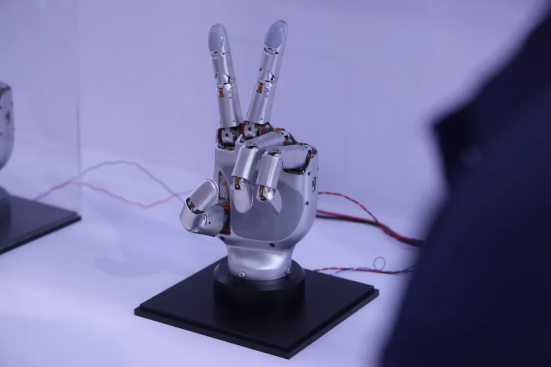 The First Fully Self-Developed Rope-Driven Robot in Anhui Debuts