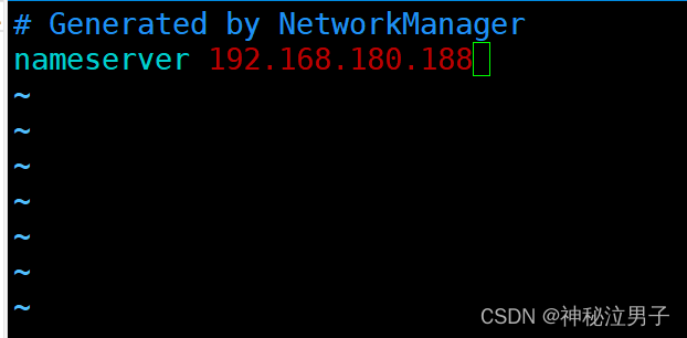 Setting Up a DNS Domain Name Resolution Server on Linux (Detailed Version)