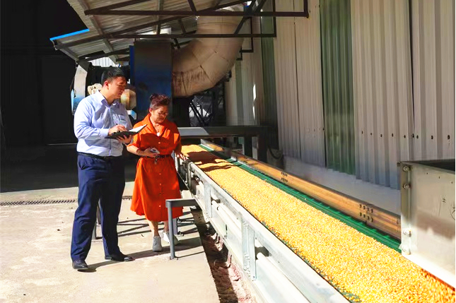 Comprehensive Financial Services from Xinyuan Rural Commercial Bank Support Agricultural 'Chips'