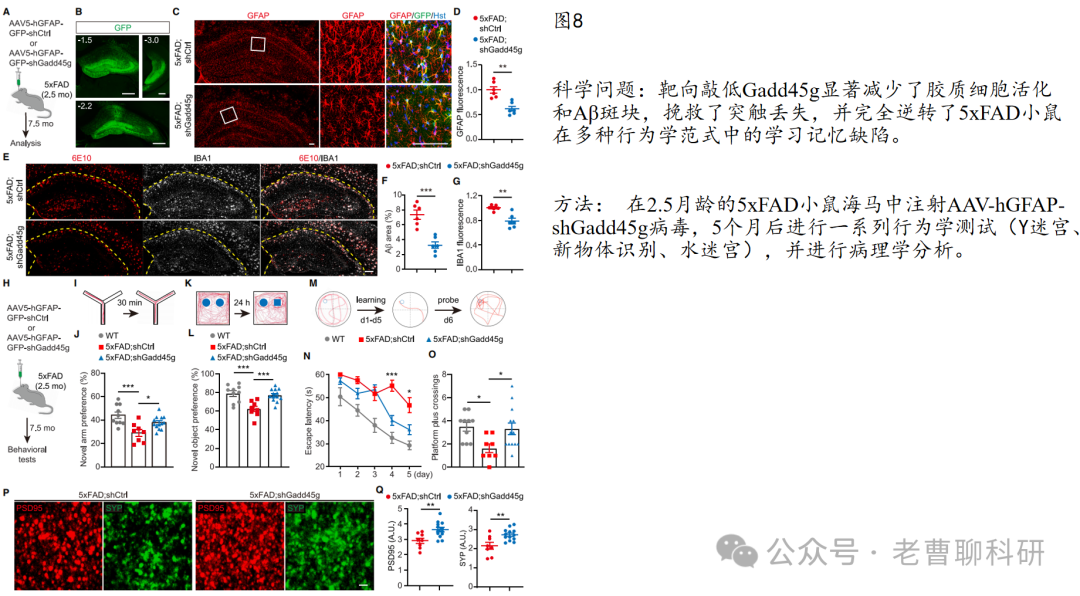 GADD45G as a Pathological Sensor: Coordinating Reactive Gliosis and Neurodegeneration