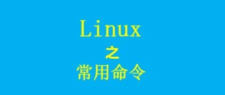 Linux Commands for Viewing IP Addresses