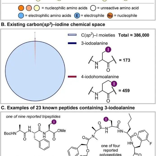 Opening New Pathways for Peptide Modification: Direct Editing of Cysteine Side Chains to Electrophilic Alkyl Halides