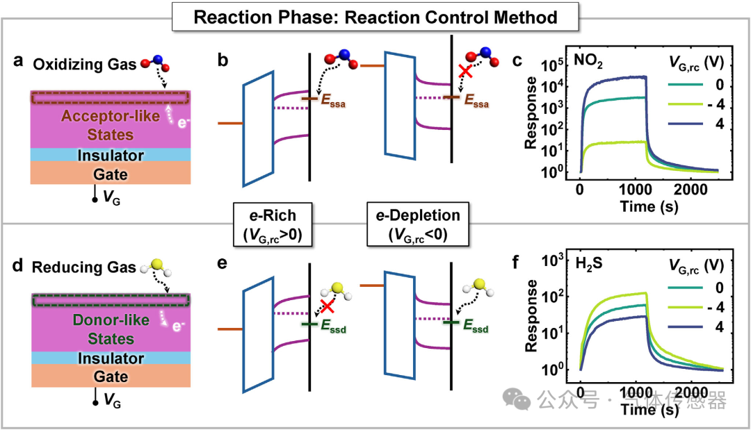 Adv. Sci.: A Novel Gas Sensor Signal Acquisition Method - Amplifying Sensor Signals for Efficient Gas Identification