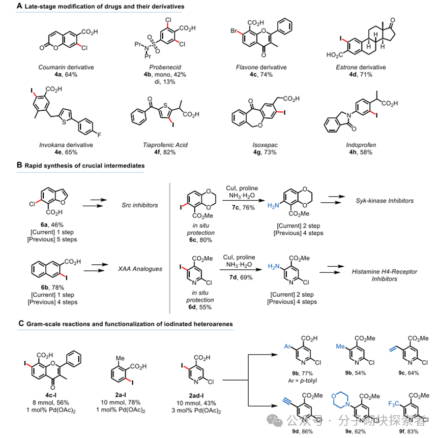 New Horizons in C–H Bond Halogenation Technology: A Practical Ligand Facilitating Efficient Halogenation of Aromatic Rings
