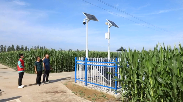 IoT Enables Precise Prediction of Drought and Pest Conditions for Corn Growth in Cheng'an