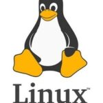 Comprehensive Guide to Linux Commands - pwd Command