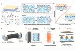 Maze Navigation and Ice Melting! A Multi-functional Micro Robot Developed at Northwestern Polytechnical University!