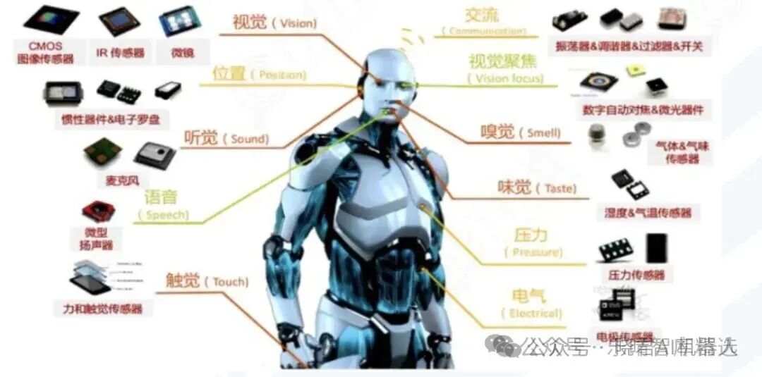 Comprehensive Overview of the Humanoid Robot Industry Chain