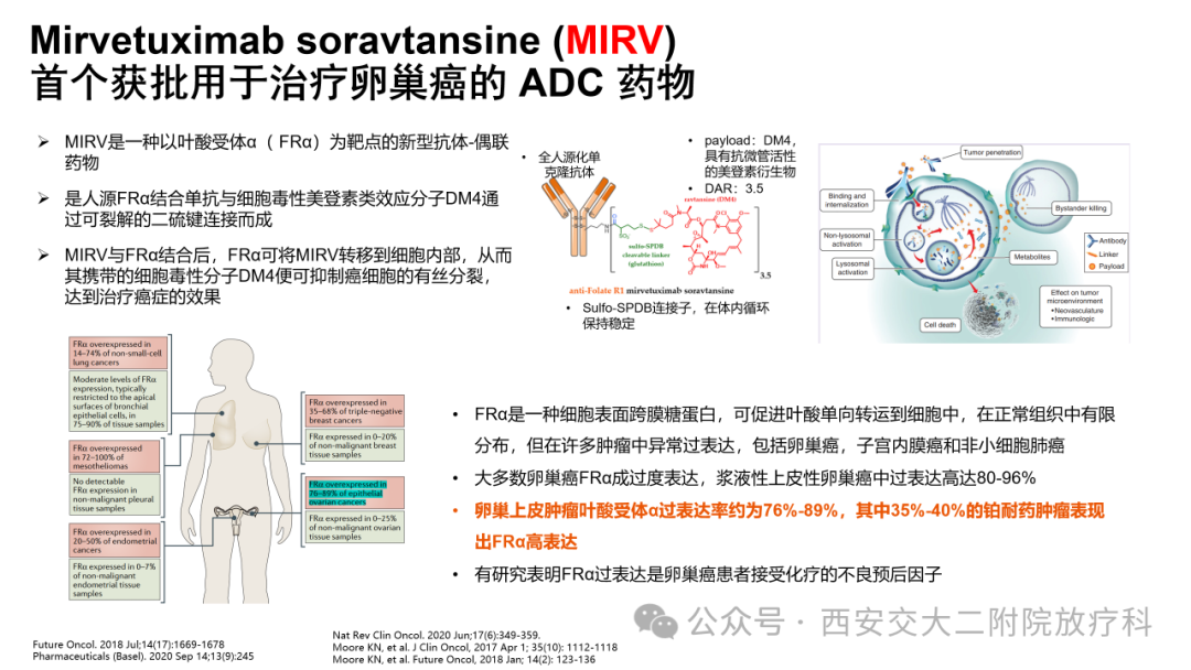 Advancements in the Application of ADC Drugs in Gynecological Malignancies