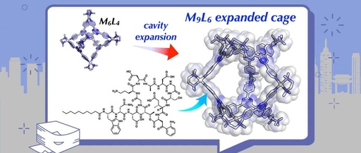 Template and Solid-State-Assisted Assembly of an M9L6 Expanded Coordination Cage for Medium-Sized Molecule Encapsulation