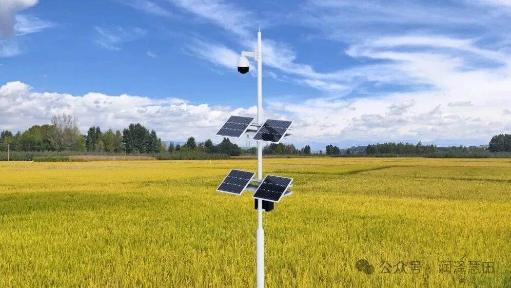 Empowering Agricultural Monitoring: Smart IoT Devices Safeguarding Farmland
