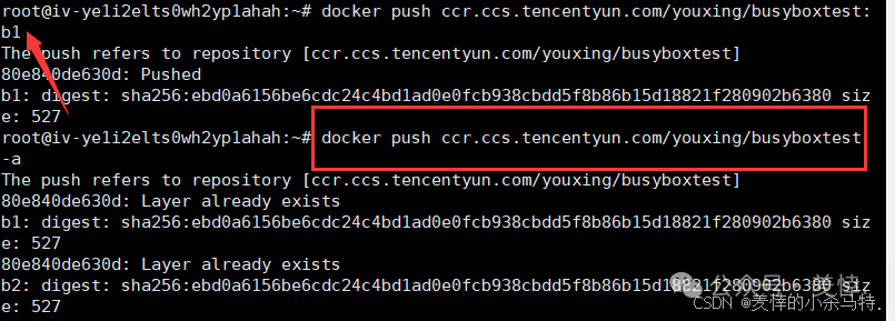 Mastering Docker End-to-End: Container Management, Nginx Homepage Customization, BusyBox Tool Practice, and Tencent Cloud Repository Deployment
