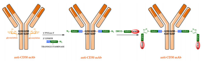 The Evolution of Antibody-Drug Conjugates (ADCs)