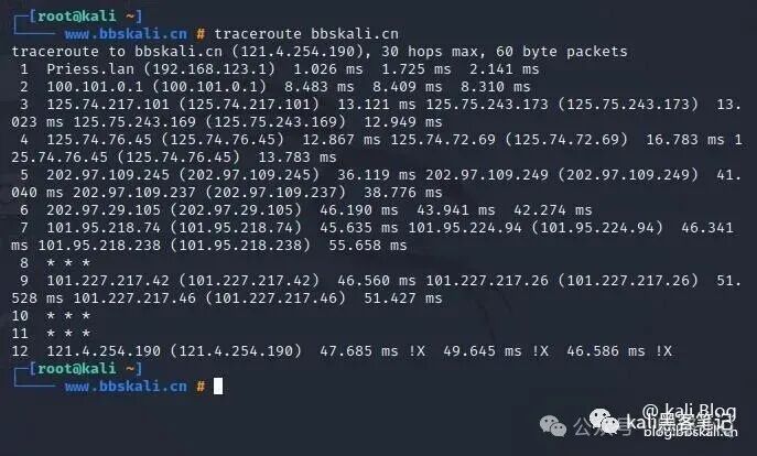 20 Common Network Commands in Kali Linux