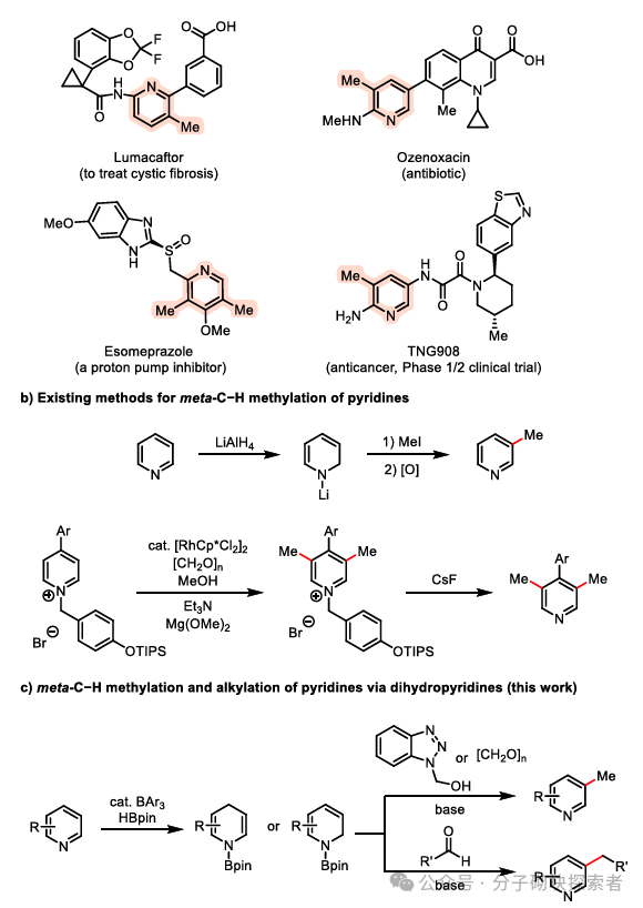 Overcoming the Challenge of Meta-Methylation of Pyridine: A Cost-Effective Aldehyde-Catalyzed Strategy Brings New Breakthroughs