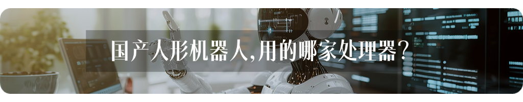 Yangzhou's Female Chip CEO Leads a 2.2 Billion Acquisition