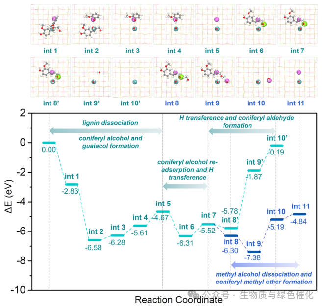 Synergy of Single Atoms and Lewis Acid Sites for Efficient and Selective Lignin Disassembly into Monolignol Derivatives