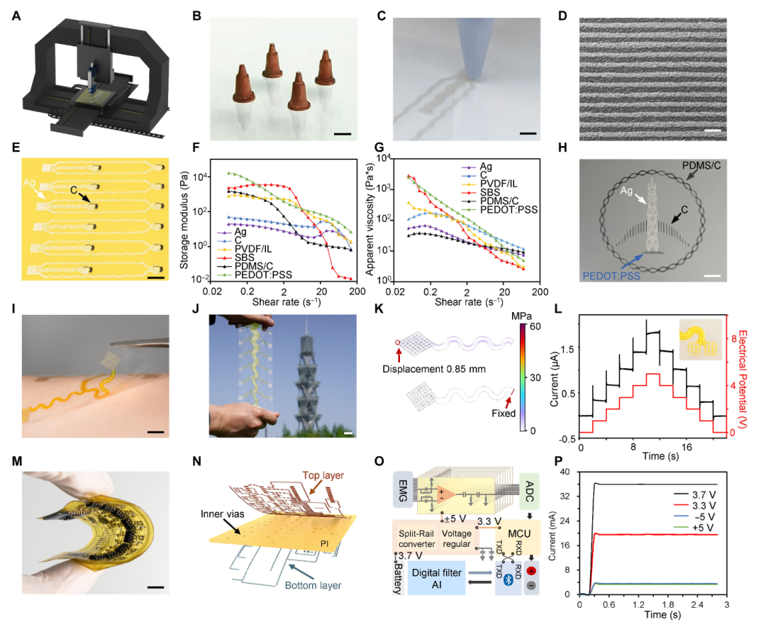 Giving Robots a Sense of Touch? Chinese Team Develops "Electronic Skin" to Open a New Era of Human-Machine Interaction