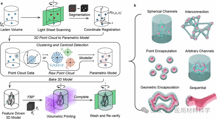 A 302-Day Journey: Biological 3D Printing in Nature!