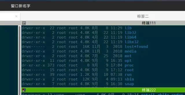 Terminator: The Ultimate Terminal Tool for Linux