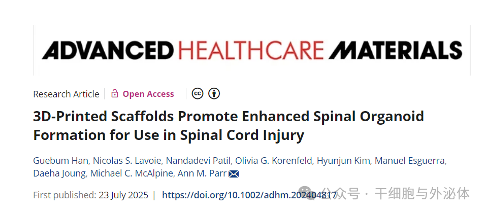 3D Printed Spinal Organoid Scaffolds Create Miracles! Recovery of Walking After 12 Weeks of Spinal Cord Injury, Doubling the Efficiency of Neural Signal Transmission