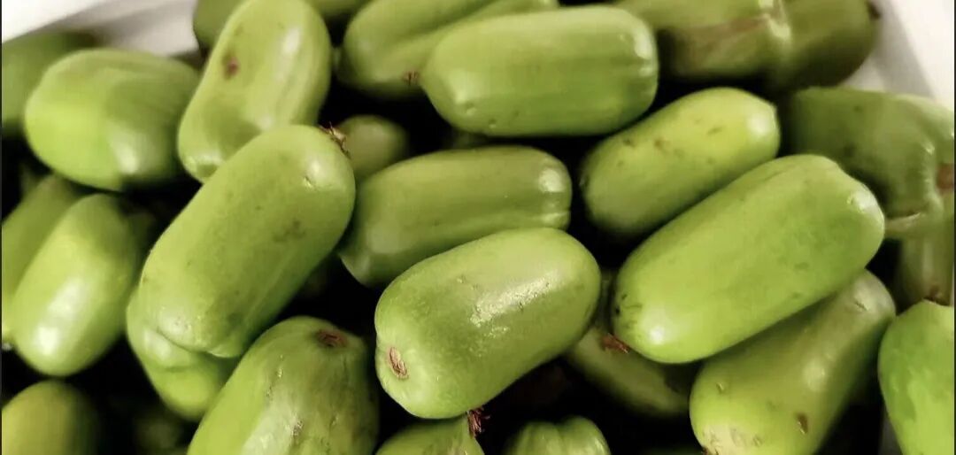 A Fruit That Looks Like Both Jujube and Cucumber, with Vitamin C Content Six Times Higher Than Oranges! This Northern Fruit is in Season and Many Haven't Seen It!