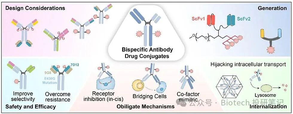 Comparative Clinical Value of Bispecific ADC vs. Dual Payload ADC