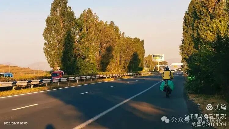 A Return Customer After Eating Fish; Cycling from 11°C to 38°C to Yerevan (Days 19-20 of Cycling in the Caucasus + Turkey)