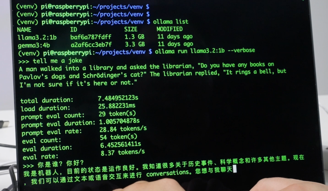 How to Implement Large Model Projects on Raspberry Pi 5 in 5 Steps!