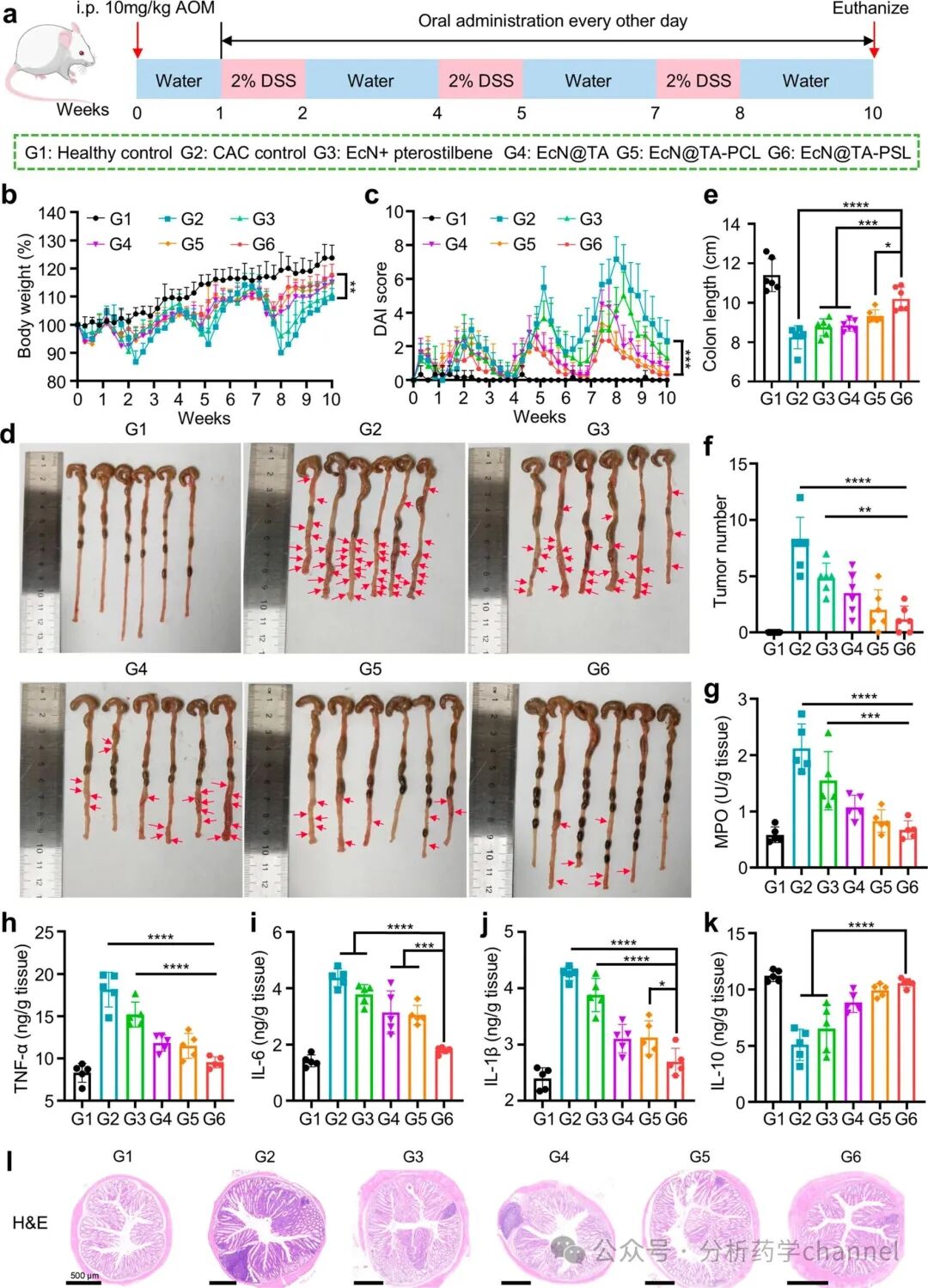 Literature Sharing | J AM CHEM SOC | Probiotic-Drug Conjugates Achieve Site-Specific Probiotic Colonization and On-Demand Drug Release to Combat Ulcerative Colitis and Its Complications