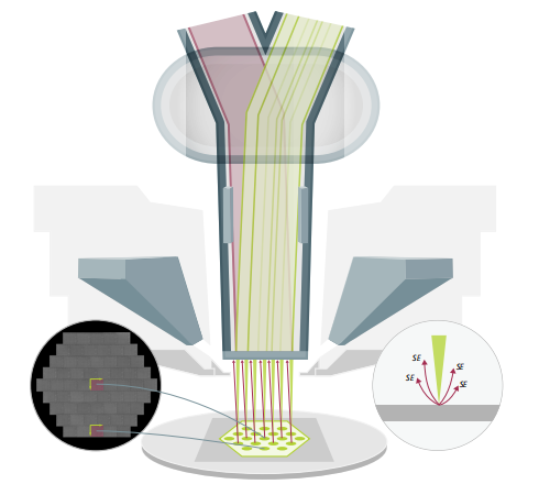 Discussion on Advanced Biomedical Imaging Equipment (Series 14: MultiSEM 505 Ultra-High-Throughput Multi-Beam Field Emission Scanning Electron Microscope)