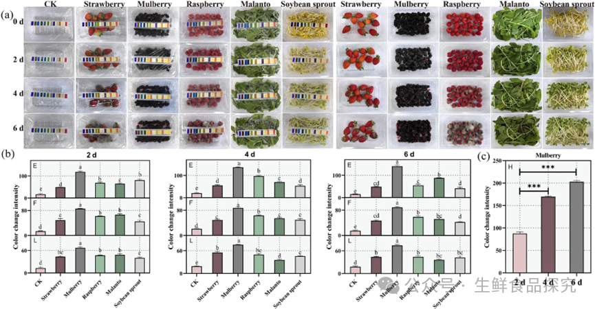 Real-time Freshness Monitoring of Fruits and Vegetables Using 3D-Printed Alginate-Based Colorimetric Sensors and Deep Convolutional Neural Networks