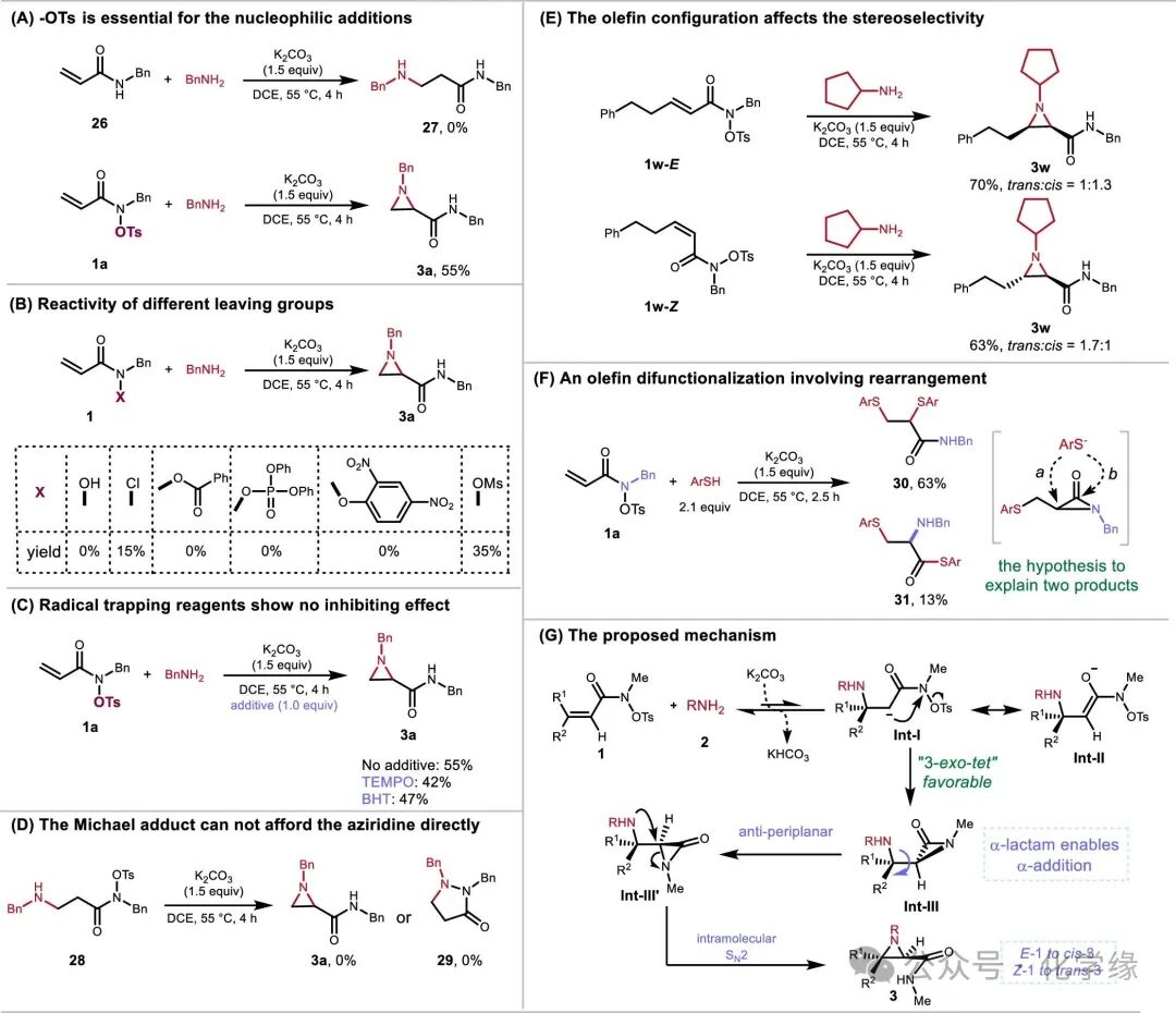 Efficient Synthesis of N-Alkyl or N-Aryl Nitrogen-Containing Propanes via α and β Nucleophilic Additions